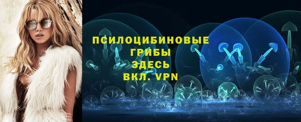 PSILOCYBIN Абаза