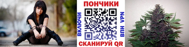 где купить наркоту  hydra ONION  Канабис MAZAR  Осташков 